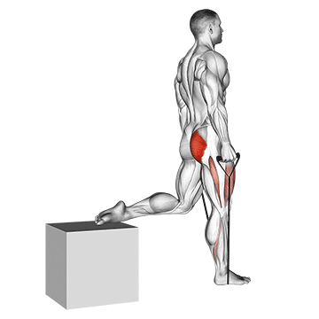 band single leg split squat