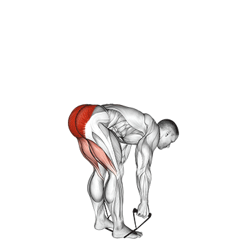 band stiff leg deadlift